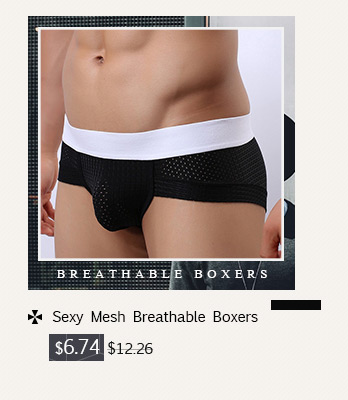 Sexy Mesh Breathable Boxers