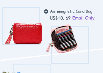 Antimagnetic Card Bag
