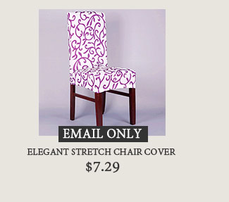 Elegant Stretch Chair Cover