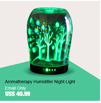 Aromatherapy Humidifier Night Light