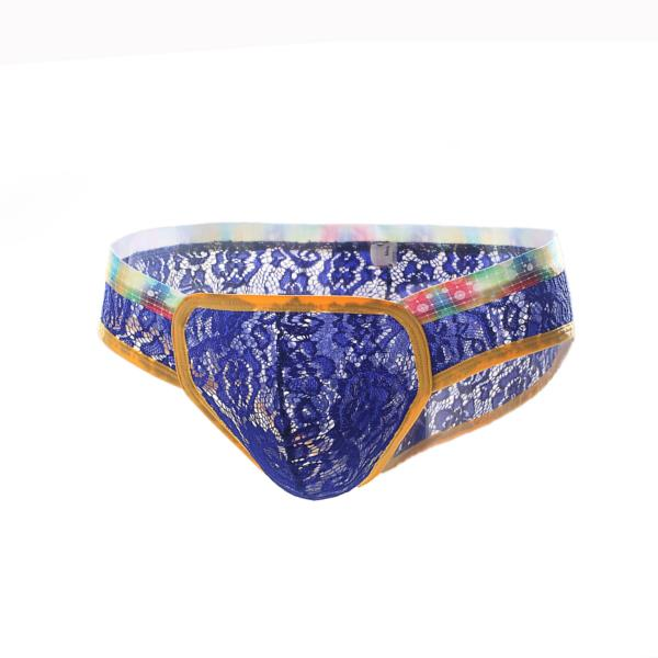 Stylish Sexy Underwear Transparent Lace Briefs Low Waist Breathable ...